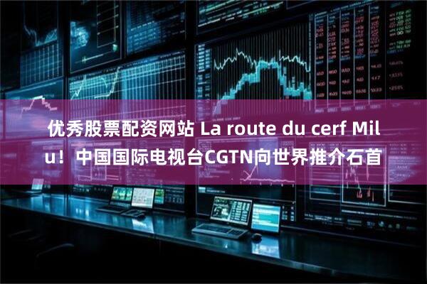 优秀股票配资网站 La route du cerf Milu！中国国际电视台CGTN向世界推介石首